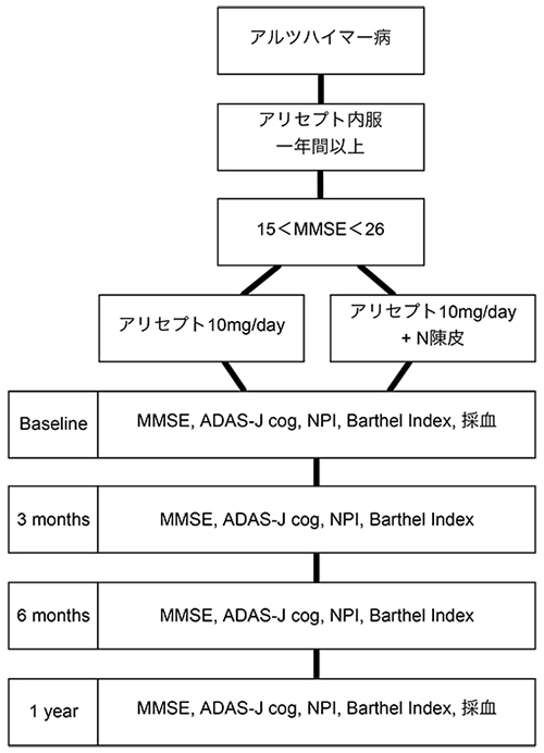 実施計画の図（研究の流れ図 被験者のリクルートと評価）