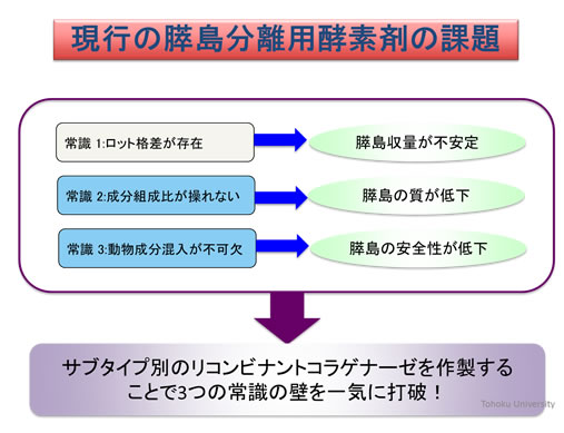 図1：プロジェクト概要