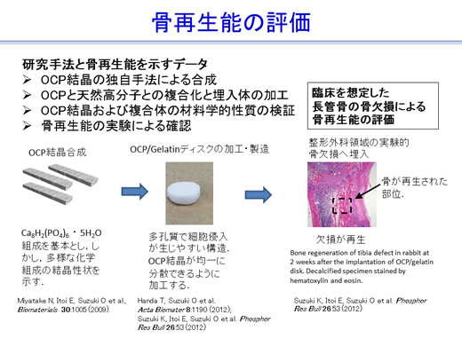 図2：骨再生能の評価