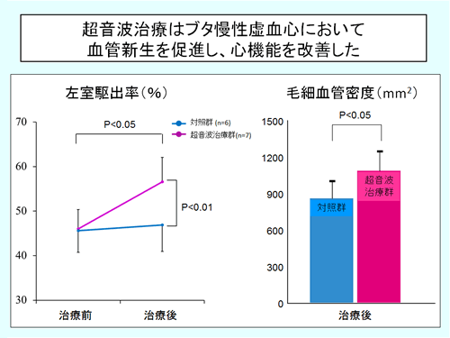 図２：慢性虚血心に対する超音波治療の効果