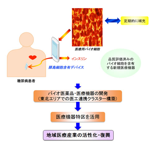 図1：プロジェクト概要