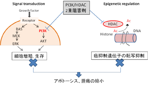 図1