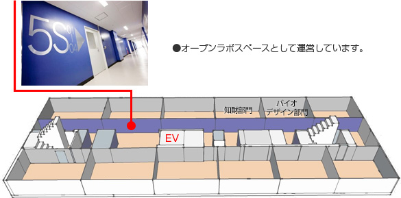 5階見取り図