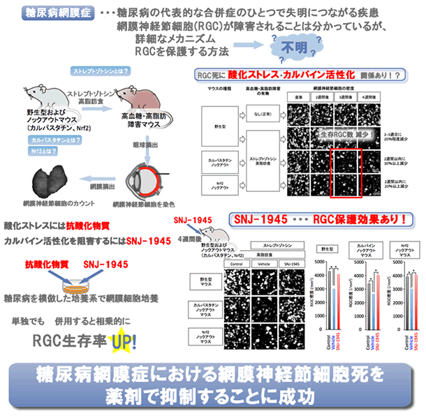 関連画像